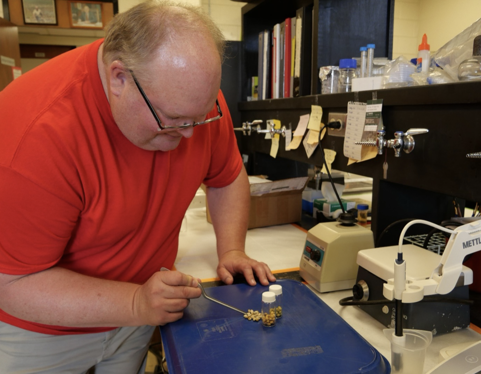 Entomologists Battle Pests in Soybeans