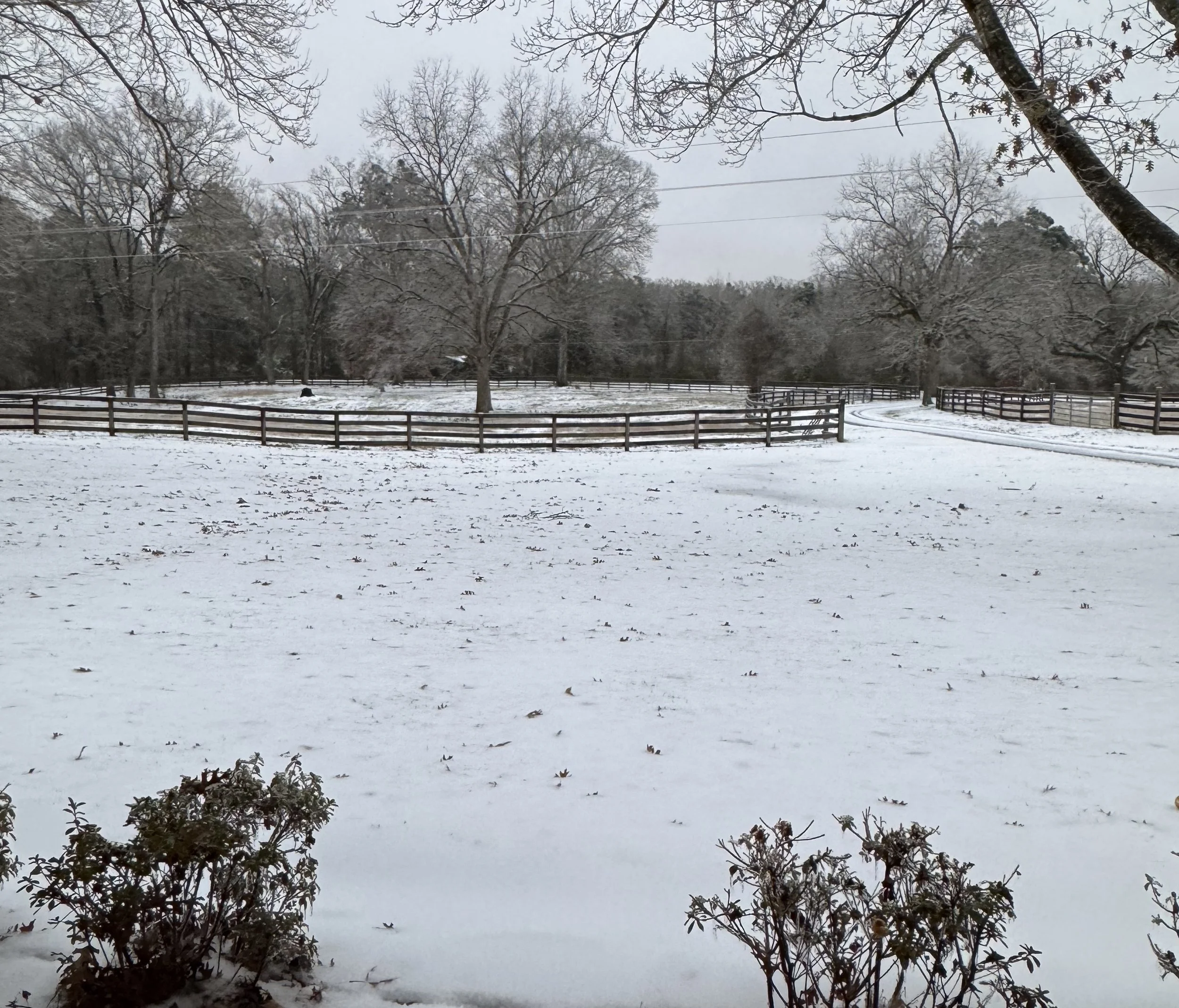 Landry Declares Emergency as Ice Storm and Days of Freezing Cold Threaten Louisiana