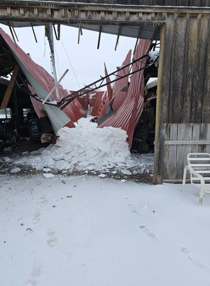 Winter Storms Crush Ag Country as Losses Likely to Top $100 Billion