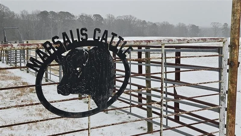 Winter Storm Stops Traffic But Not Farmers In North Louisiana 