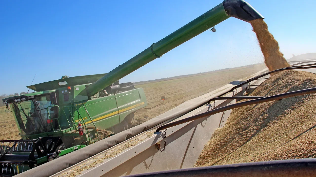 U.S. Farmers Struggle to Keep Traditional Rice Markets