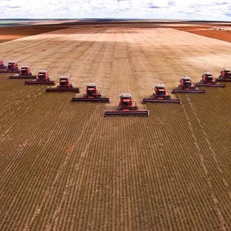 Brazil Soybean Production Outlook Improves As Harvest Expands