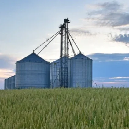 One Big Beautiful Bill Might Force Farmers to Rethink Farm Business Structures