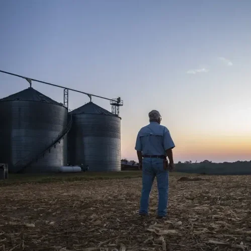 U.S. Farm Bankruptcies Increased 46% in 2025