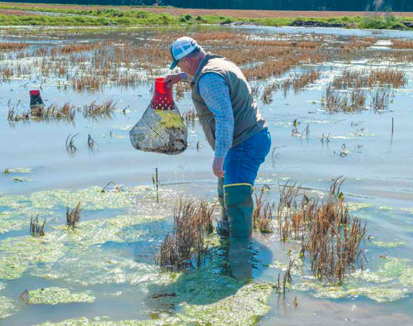 Louisiana Farm and Ranch: February 2026