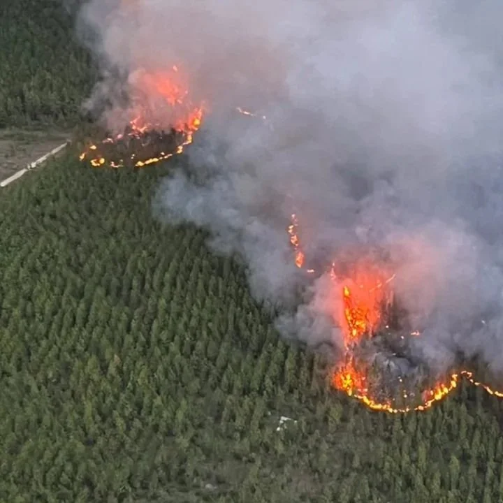 Rapides Parish Woman Convicted In Connection To '23 Wildfire