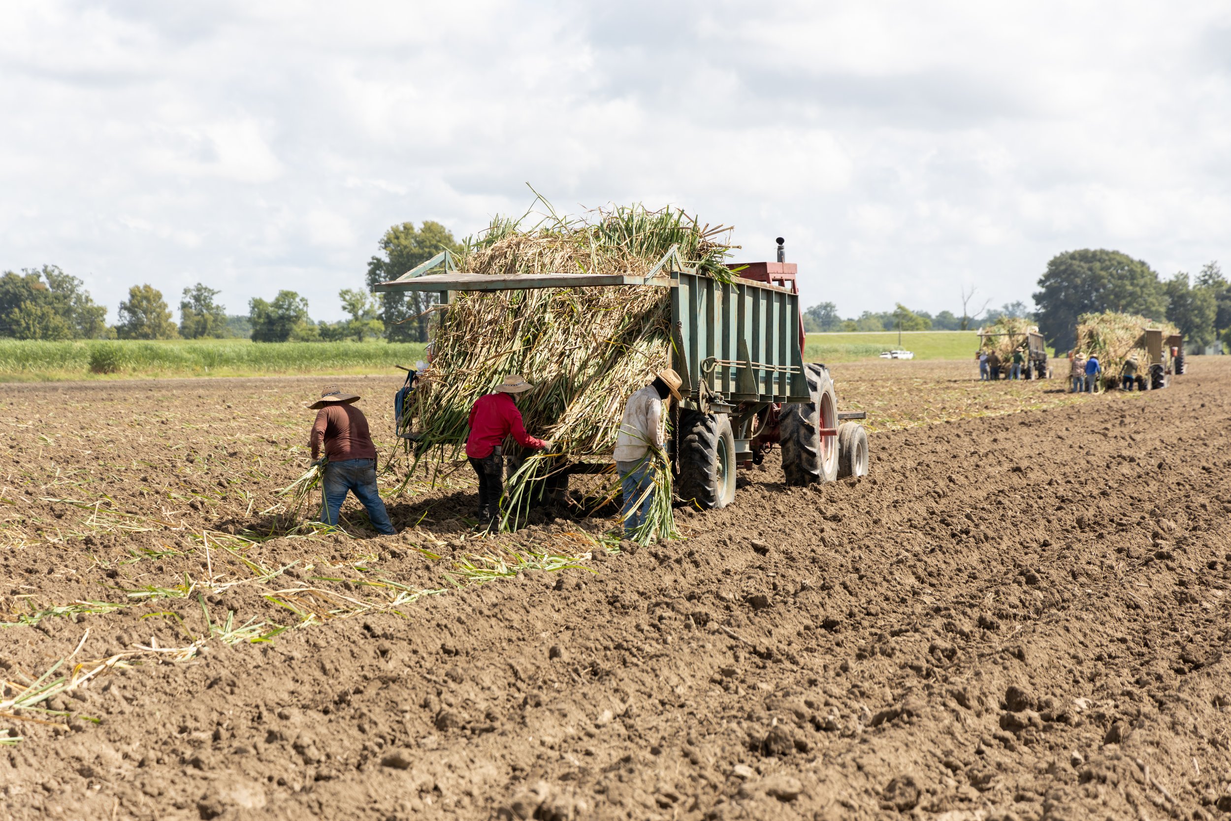 The Hands Behind the Harvest: Why Legal Farm Workers Matter to Every Consumer 