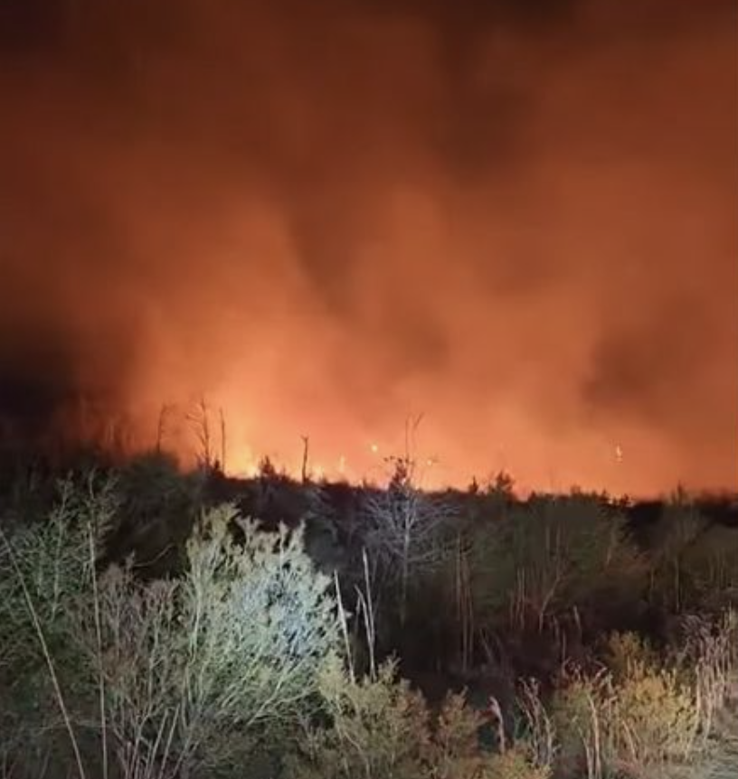 Woods Fire on Gum Swamp Road That Burned Over 200 Acres in Livingston Reignites