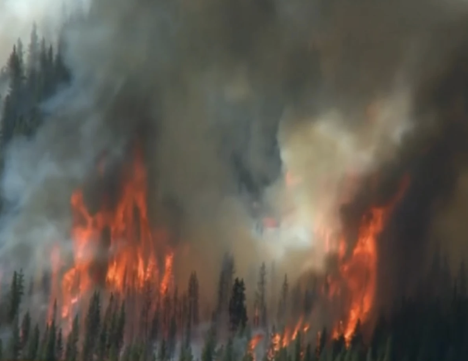 Dry, Windy Conditions Spawn Multiple Wildfires Across Louisiana