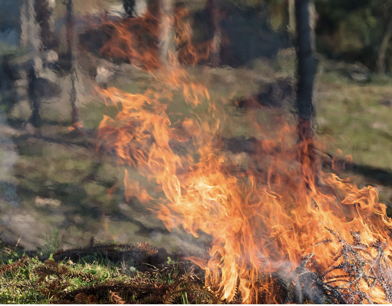 Wildfire Threat High as Burn Bans Spread Across Louisiana