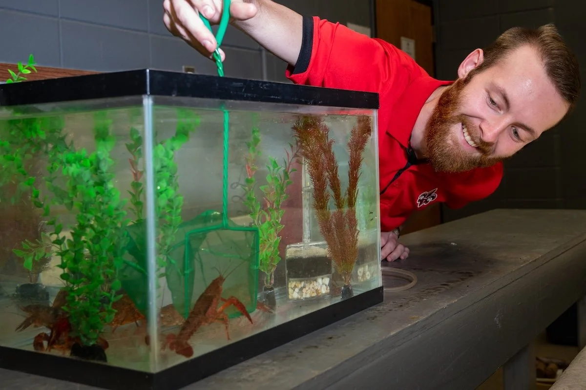 UL Lafayette Biologists Discuss New Research on Using Invasive Carp as Crawfish Bait