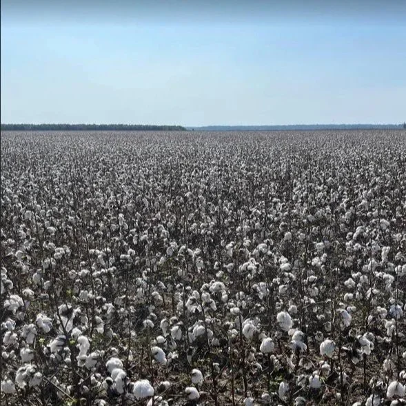 NCC To Press For Buying American Cotton Act In 2026