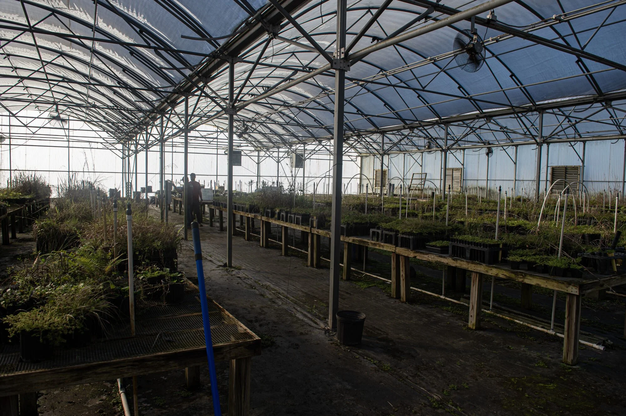 Possible Sale of ULL Lab, Farm Alarms Students and Faculty