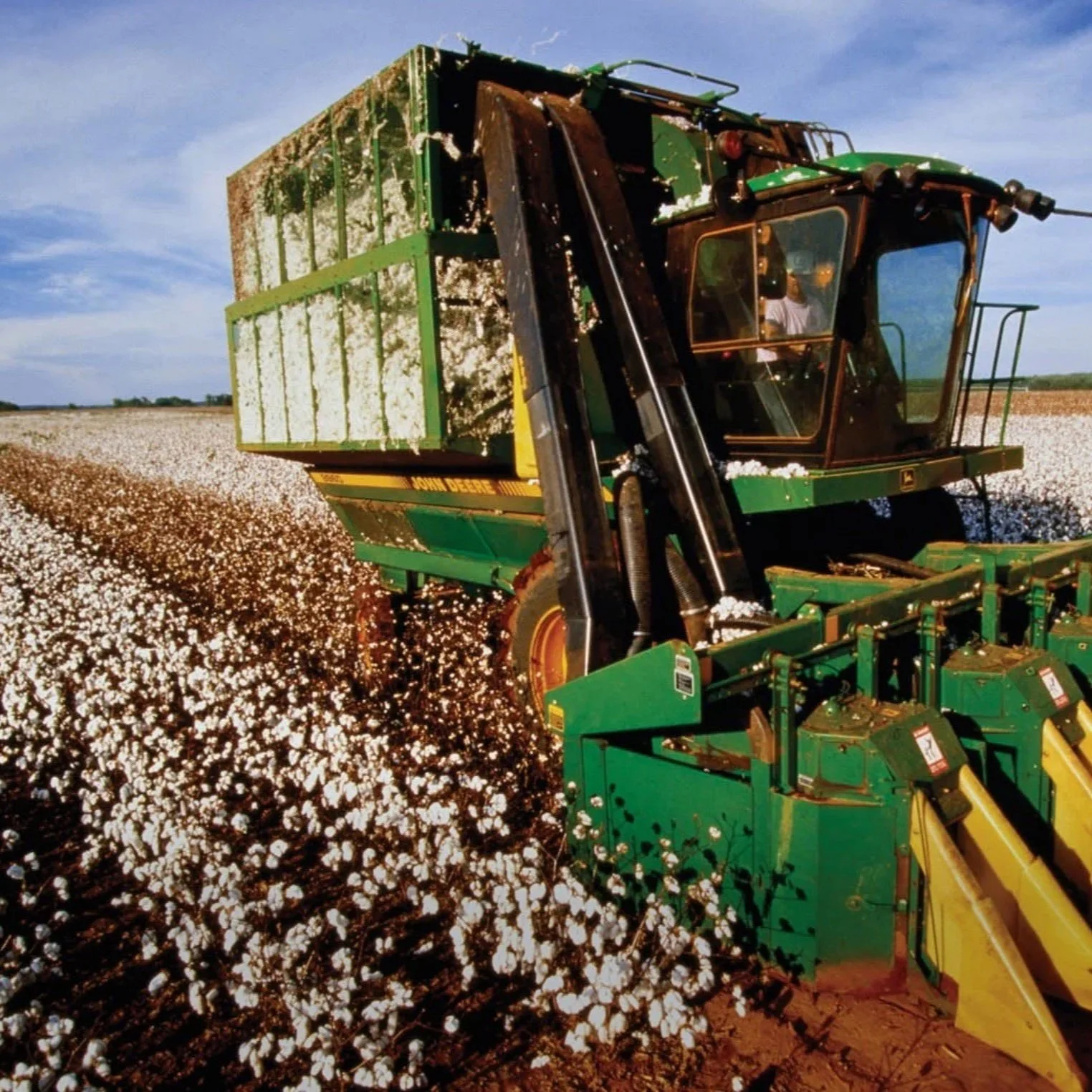 Cleveland: Positive Price Movement Can Hardly Be Believed