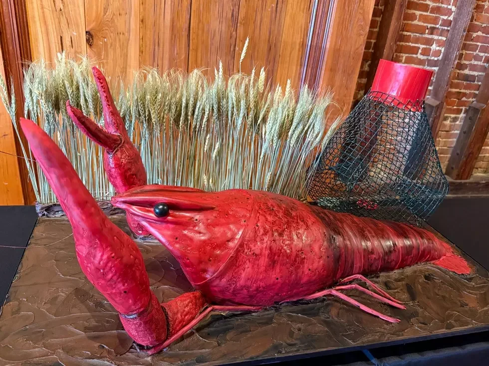 Louisiana Themed Cakes are A Hit for One Local Bakery