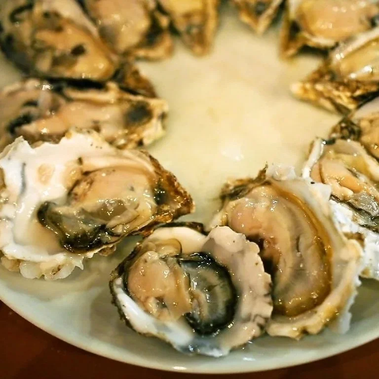 Oil Spill in Terrebonne Bay Could Negatively Affect Louisiana Oyster Harvests