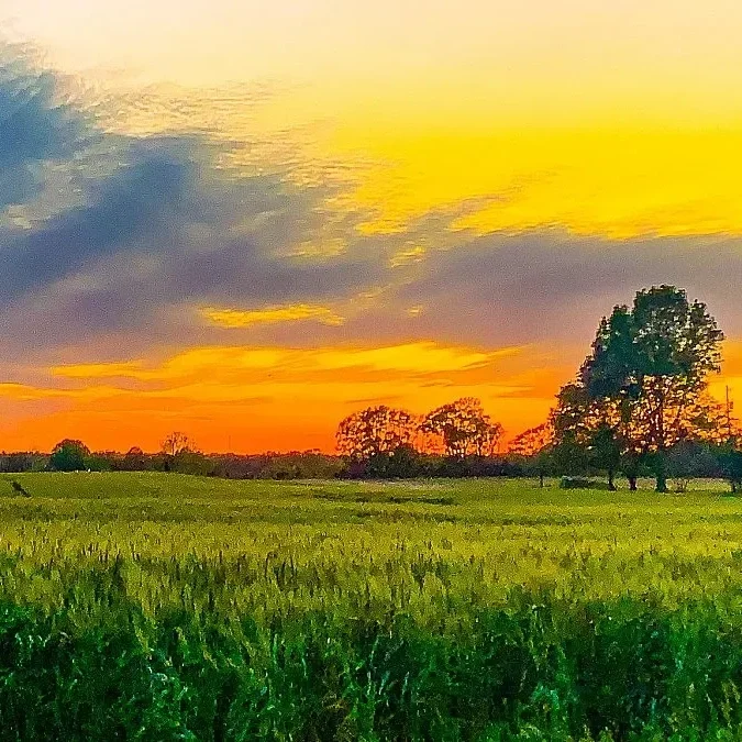 Economic Storm Worsens for America’s Farmers