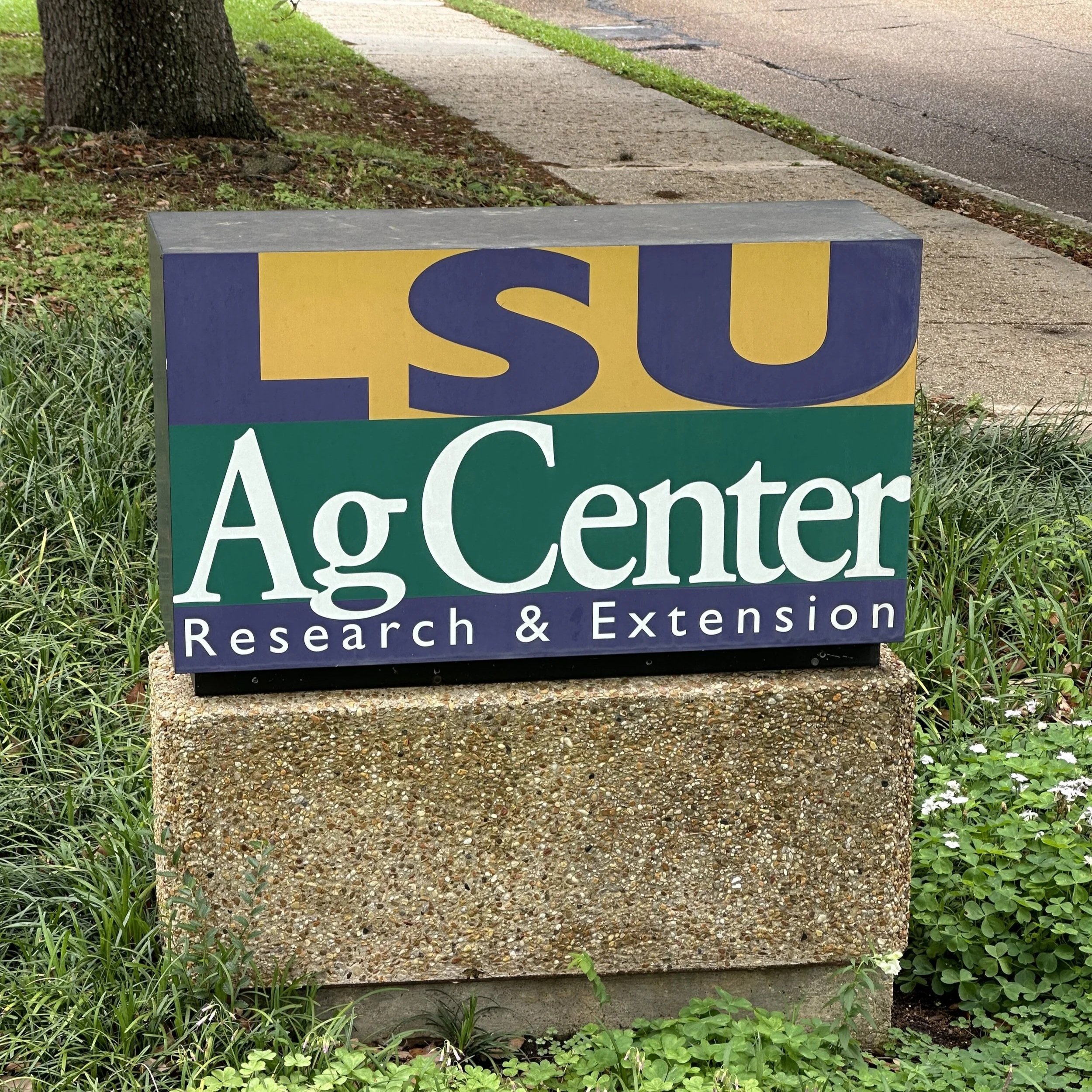 4-H And LSU Alumnus Traded Trombone For Trademarks, Patents