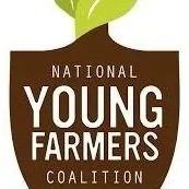 Root And Blum Fellowship