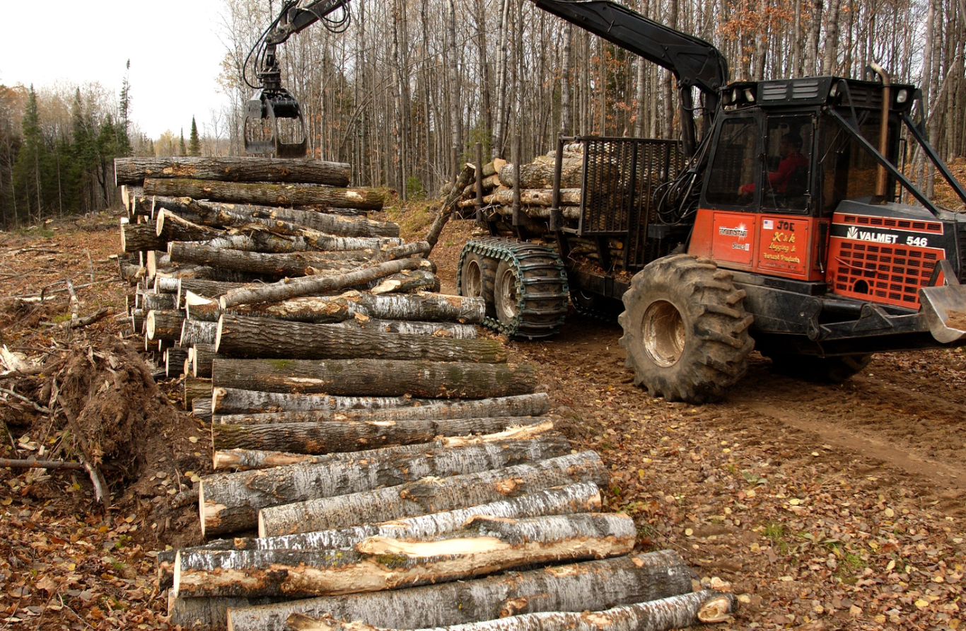 U.S. Department of Agriculture Awards Eight States $115.2M to Advance Timber Production