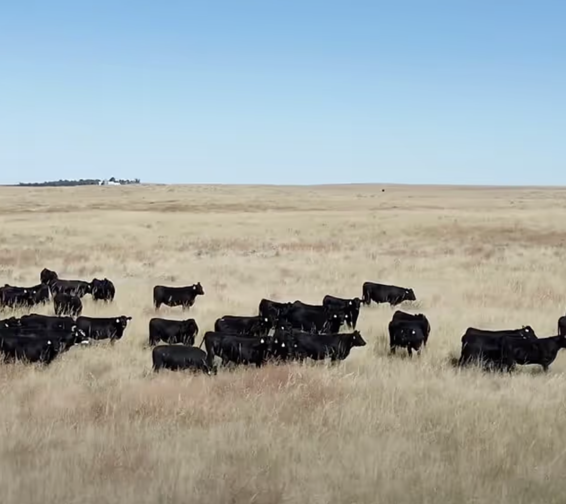 Nebraska Farm Bureau Disaster Relief Fund