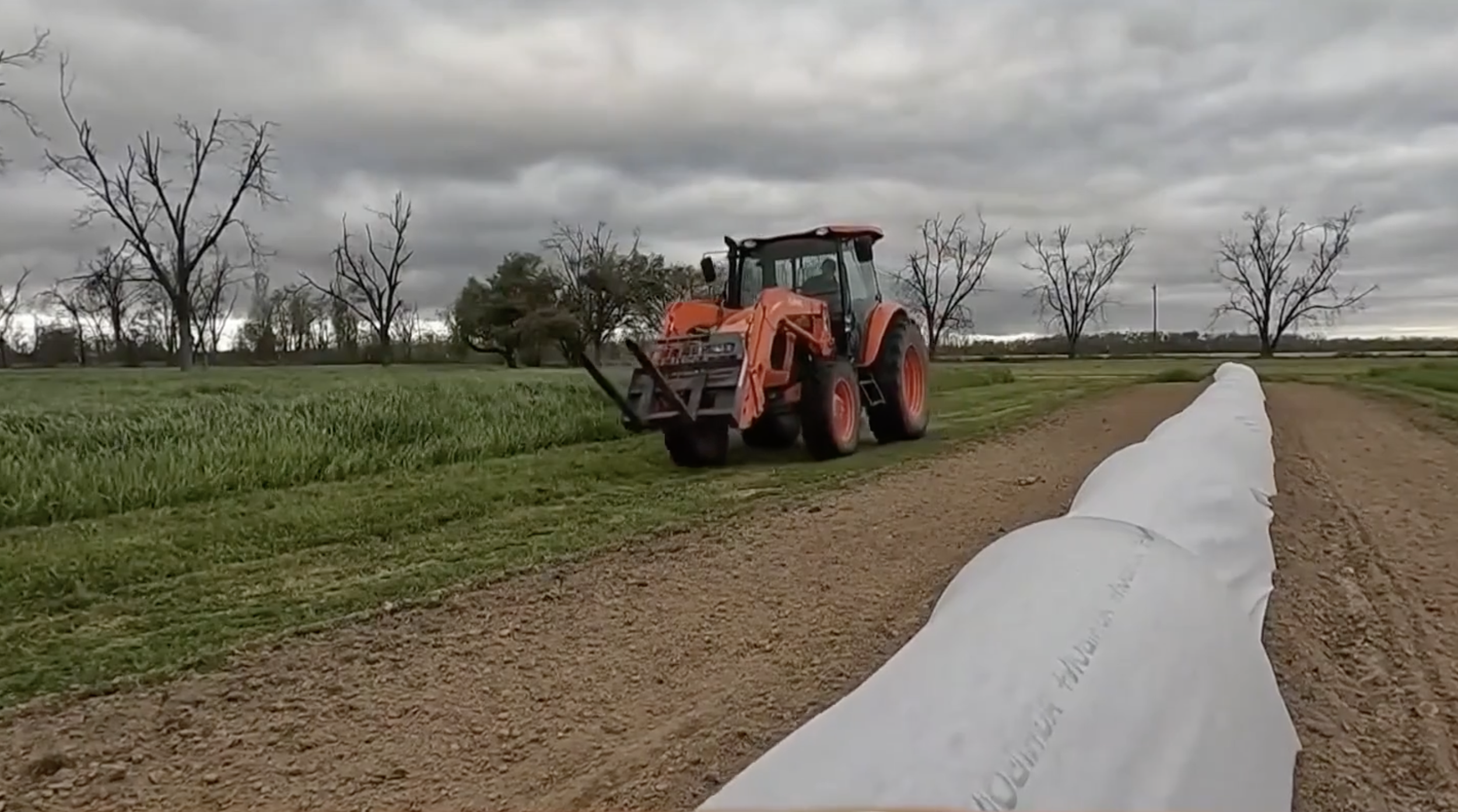 Family Roots Run Deep at Louisiana Century Farm, Produce Ridge