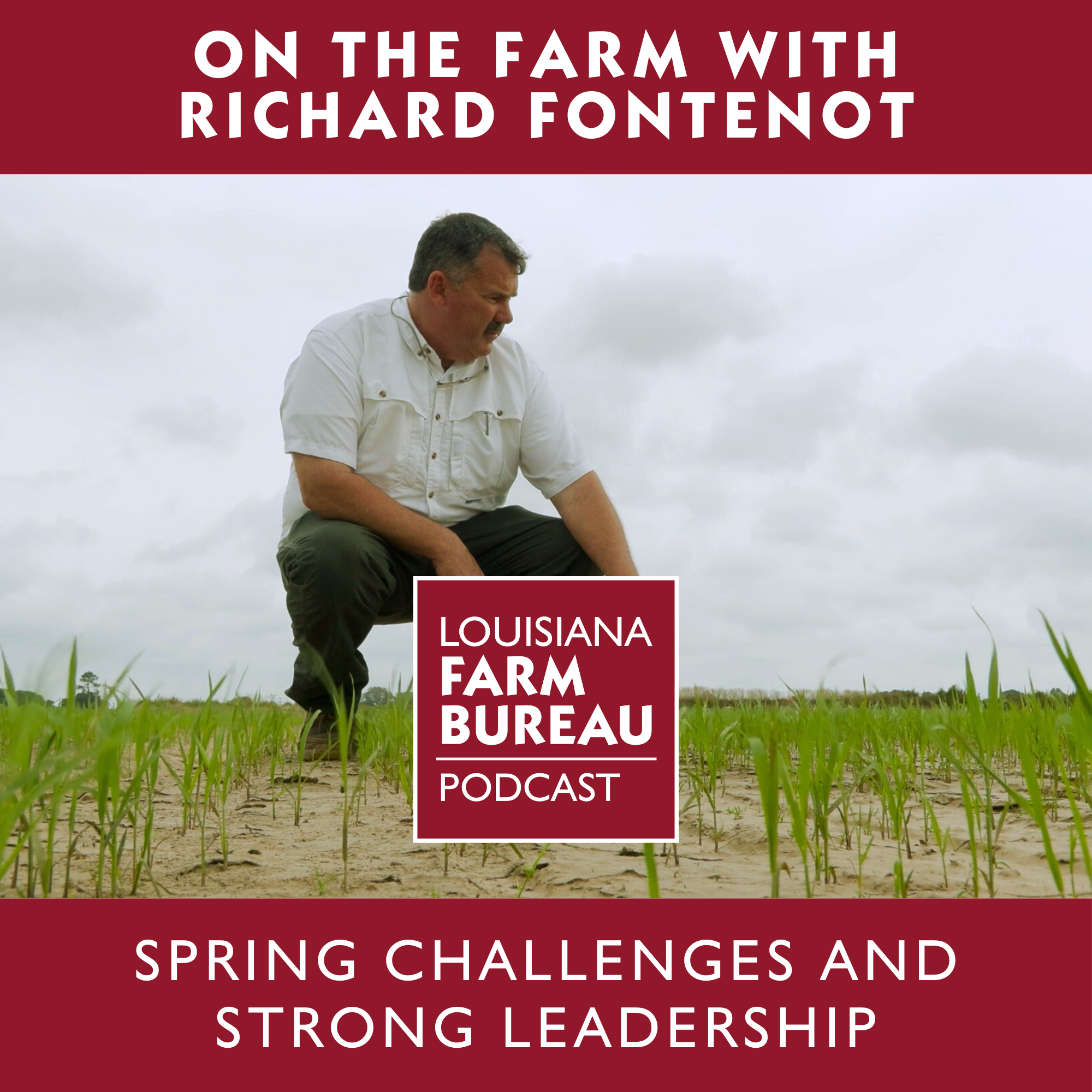Fontenot Talks Planting Season, Policy Pressure and Grassroots Engagement on Latest Louisiana Farm Bureau Podcast