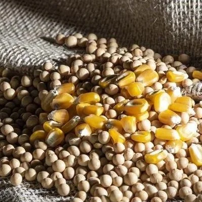 Farmers Expected To Shift Acres From Corn To Soybeans Amid Rising Costs