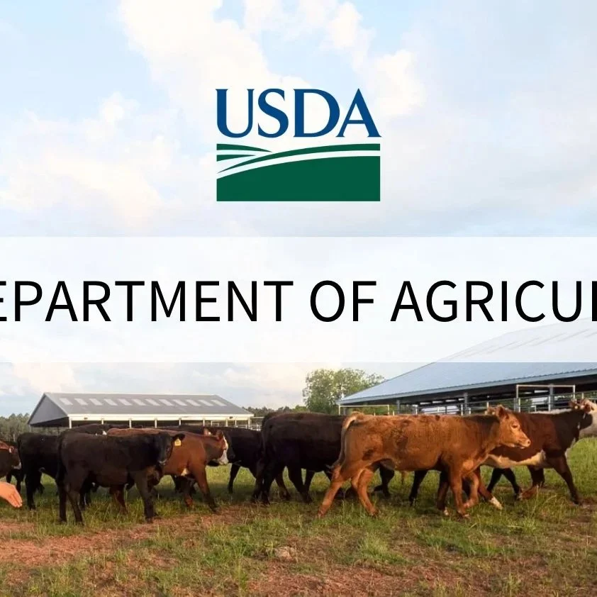 Grain Stocks Prospective Plantings