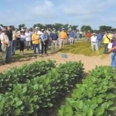 Wheat, Oak, Cover Crop Field Day To Be Held April 16