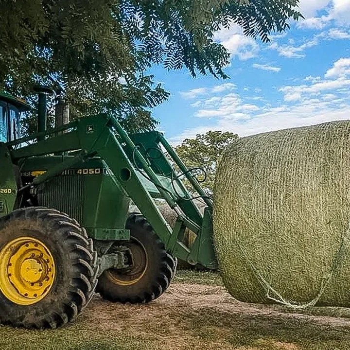 Can Farmers Claim Tax Deductions For Donated Hay?