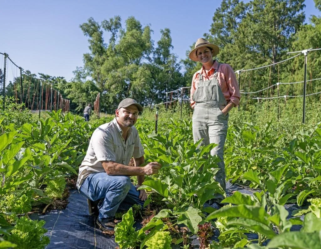 Baton Rouge Micro-Farm ‘Keeps Pressing Forward’ After Fire, Provides At-Home Garden Consults