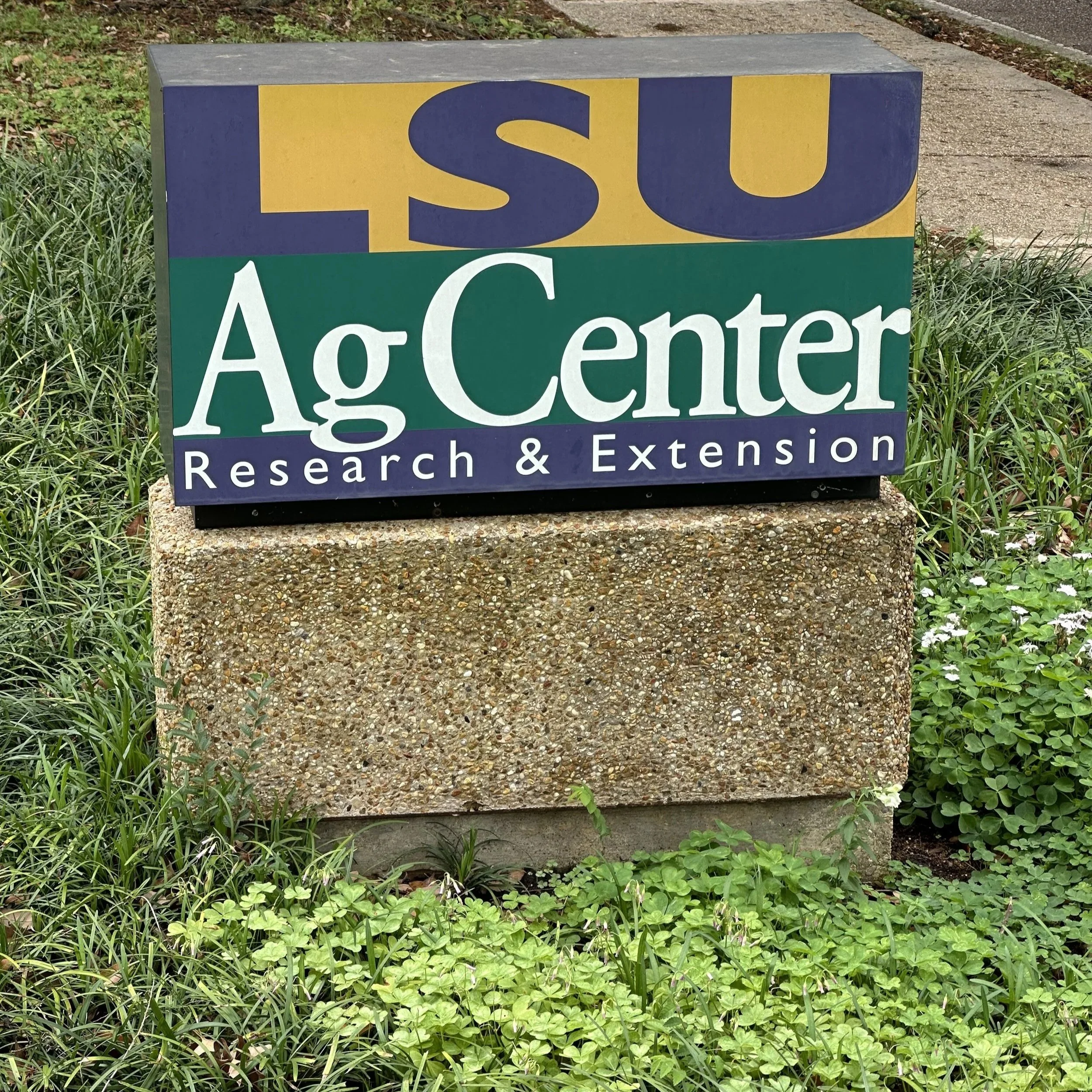 LSU AgCenter To Host Pollinator Training Day April 25