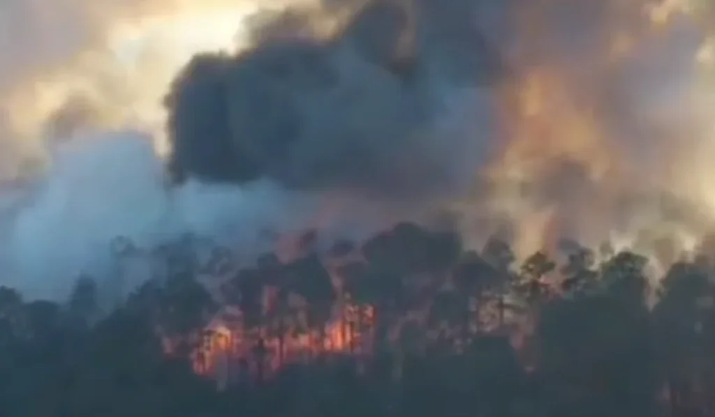 Forest Fire Burns in St. Tammany Parish, Officials Working to Contain Blaze