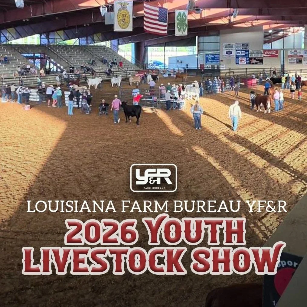 Young Farmers and Ranchers Youth Livestock Show Cultivates Lifelong Skills for Next Generation of Louisiana Agriculture