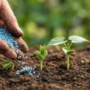 Fuel, Fertilizer Price Hikes Hit Southern Farms Hardest