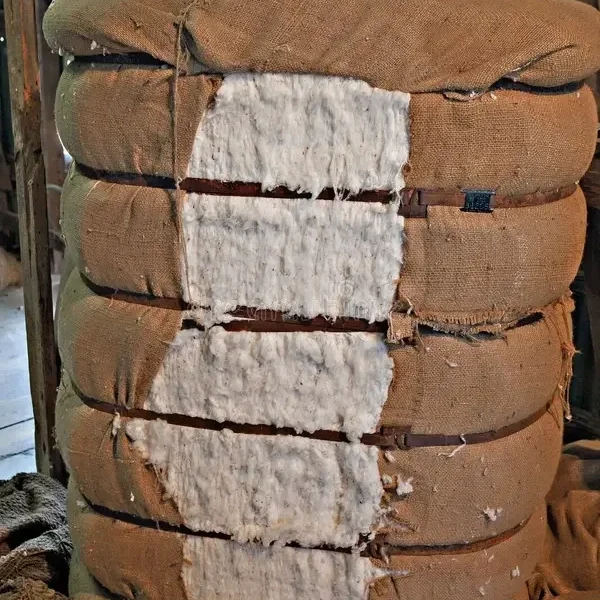 Cleveland: Cotton Prices Soaring Too Close to the Sun?