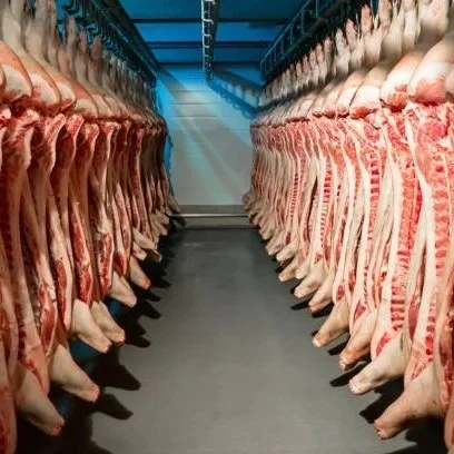 Federal Investigation Targets Meatpacking Industry Practices