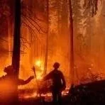 USDA Ramping Up Wildfire Preparations