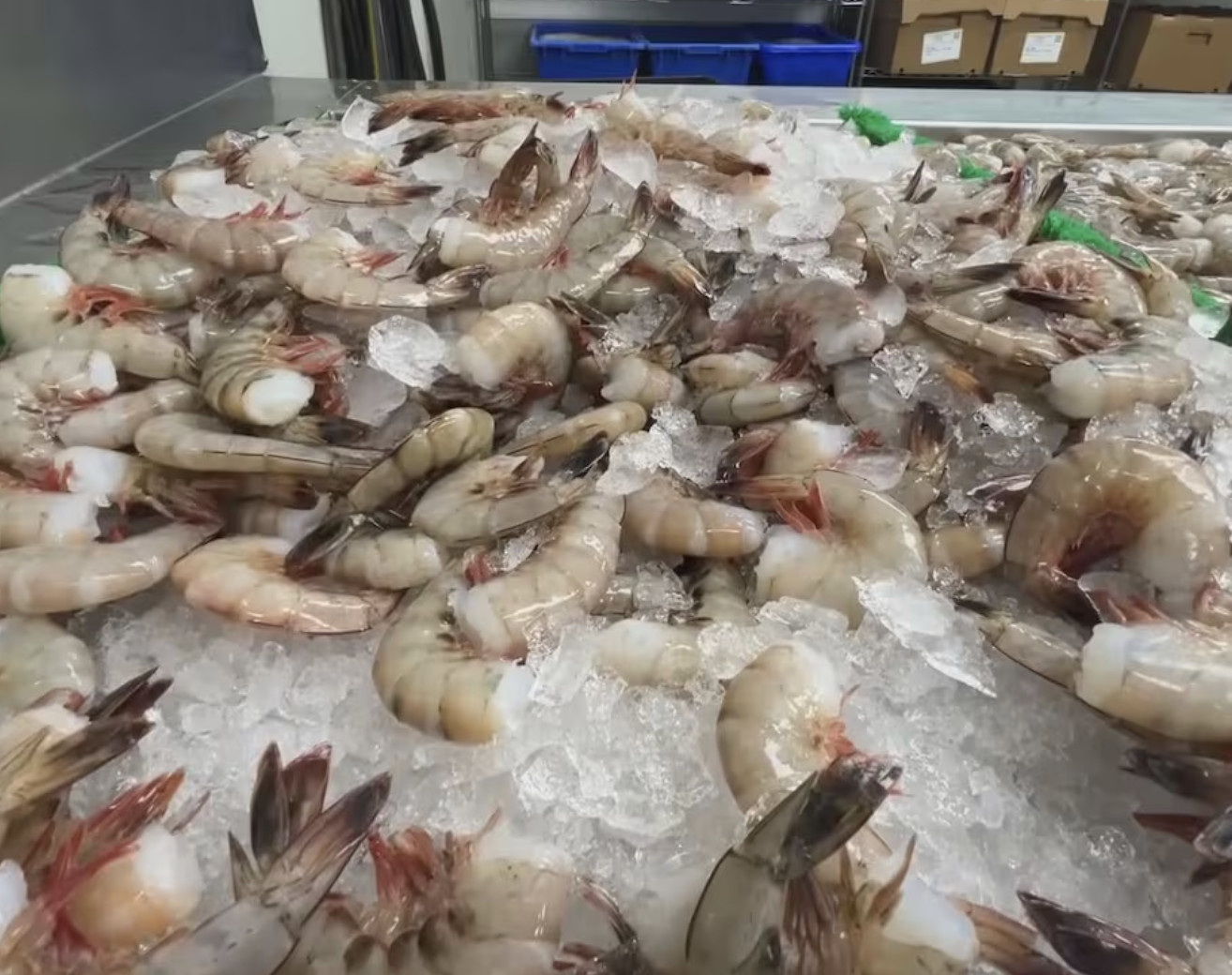 Louisiana Lawmakers Push for Investigation Into Foreign Seafood Trade Practices