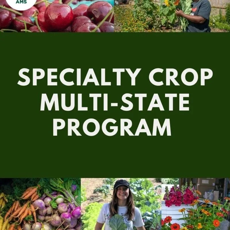 Specialty Crop Multi-State Program (SCMP)