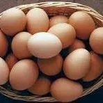 Farm Bureau:  Egg Prices Down 55% Are Squeezing Farmers
