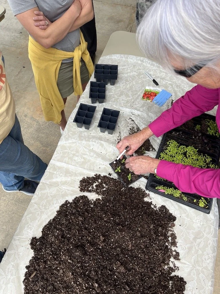 LSU AgCenter to Host School Gardening, Sustainability Training in Winnsboro