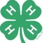 Teams Compete In Statewide 4-H Food Challenge; One Advances To Nationals