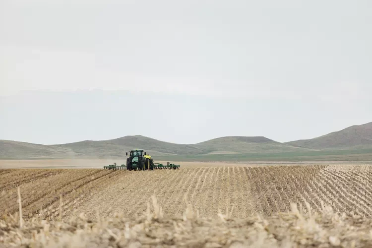 Bayer Promises to Suspend ‘Unfair Provisions’ in Seed Contracts for Several Years