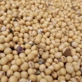 Argentina Export Tax Cuts Could Pressure US Grain Markets