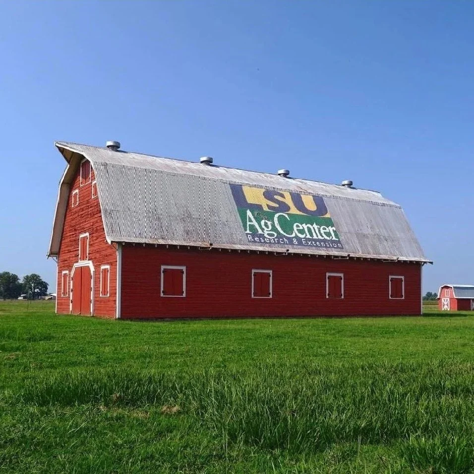 Louisiana Conservation &amp; Commodity Updates-- April, 2026