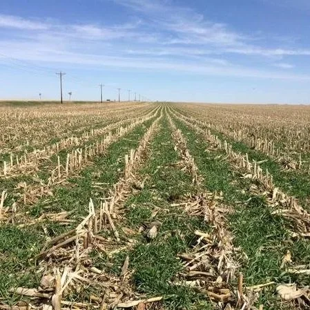 Crop Insurance Agent Says Base Acre Changes Could Increase Farm Program Payments This Fall
