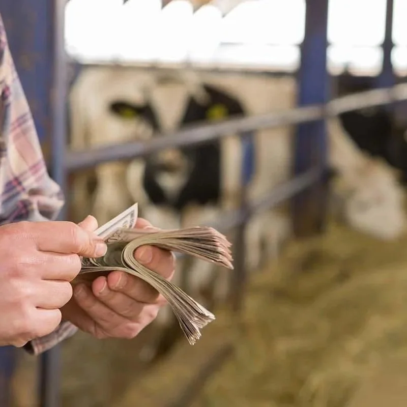 Farmer Sentiment Slips Again As High Input Costs Remain Top Concern