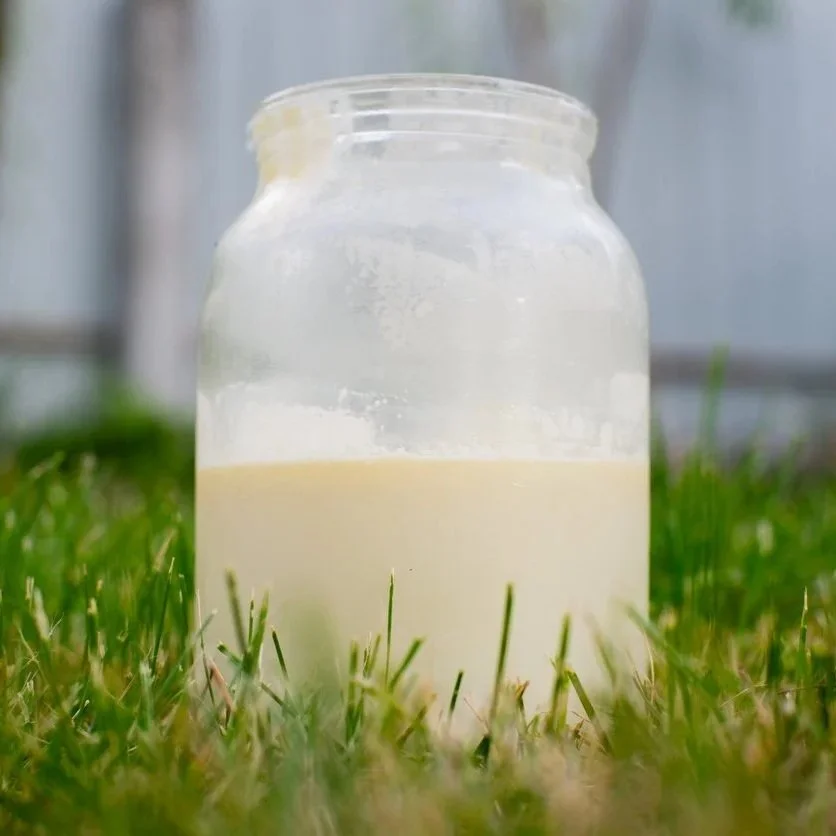 Idaho Investigates Spike In Illnesses Related To Raw Milk Consumption